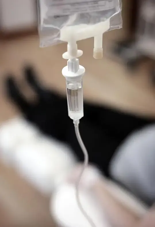 Signature IV Drip Treatments